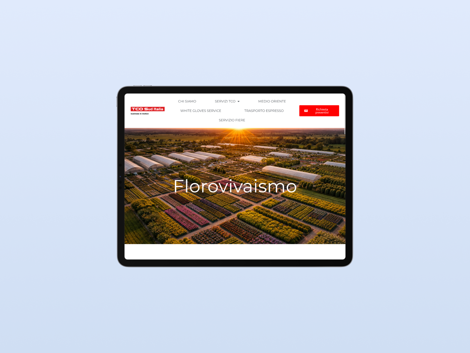 Interfaccia iPad TCO Spedizioni